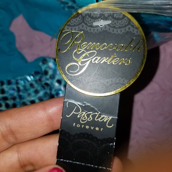 Passion Forever Bustier Embelished Slip Lingerie XL TealColor Silver Sequin NWT - Picture 9 of 10